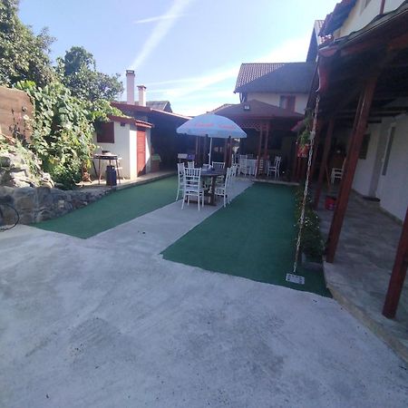 La Zinculescu Hotel Albestii Paminteni Ngoại thất bức ảnh