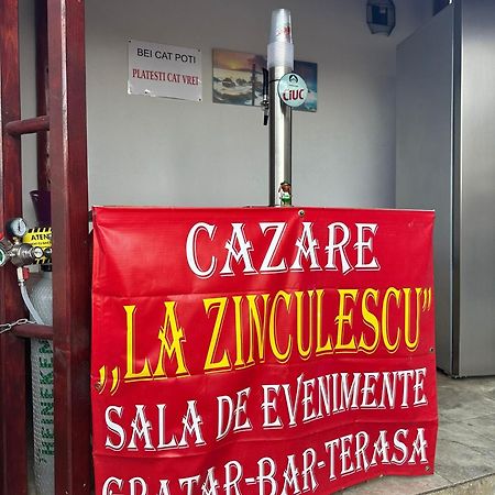 La Zinculescu Hotel Albestii Paminteni Ngoại thất bức ảnh