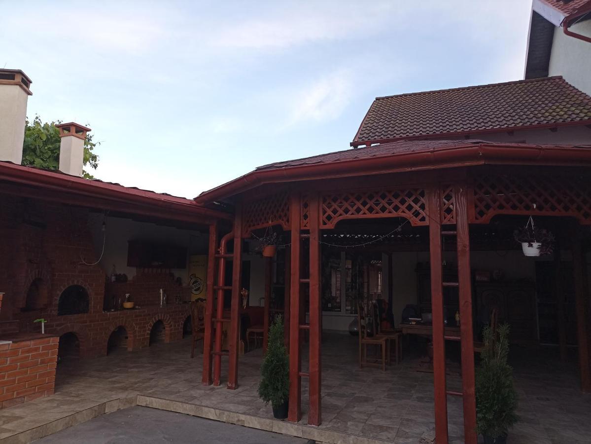 La Zinculescu Hotel Albestii Paminteni Ngoại thất bức ảnh